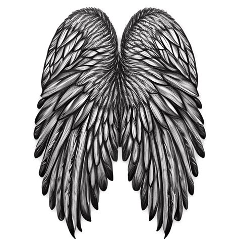 photos of angel wings|detailed angel wings.